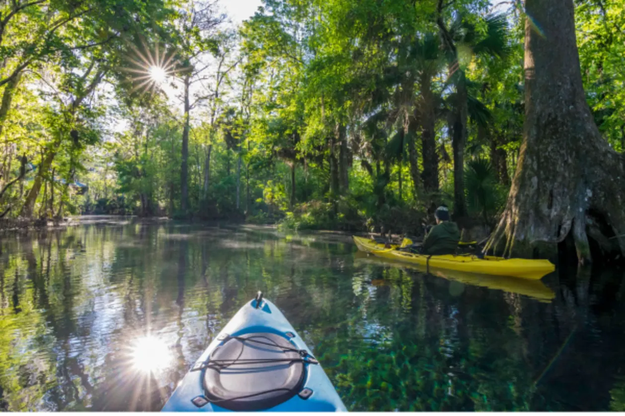 kayaker at dawn on silver river